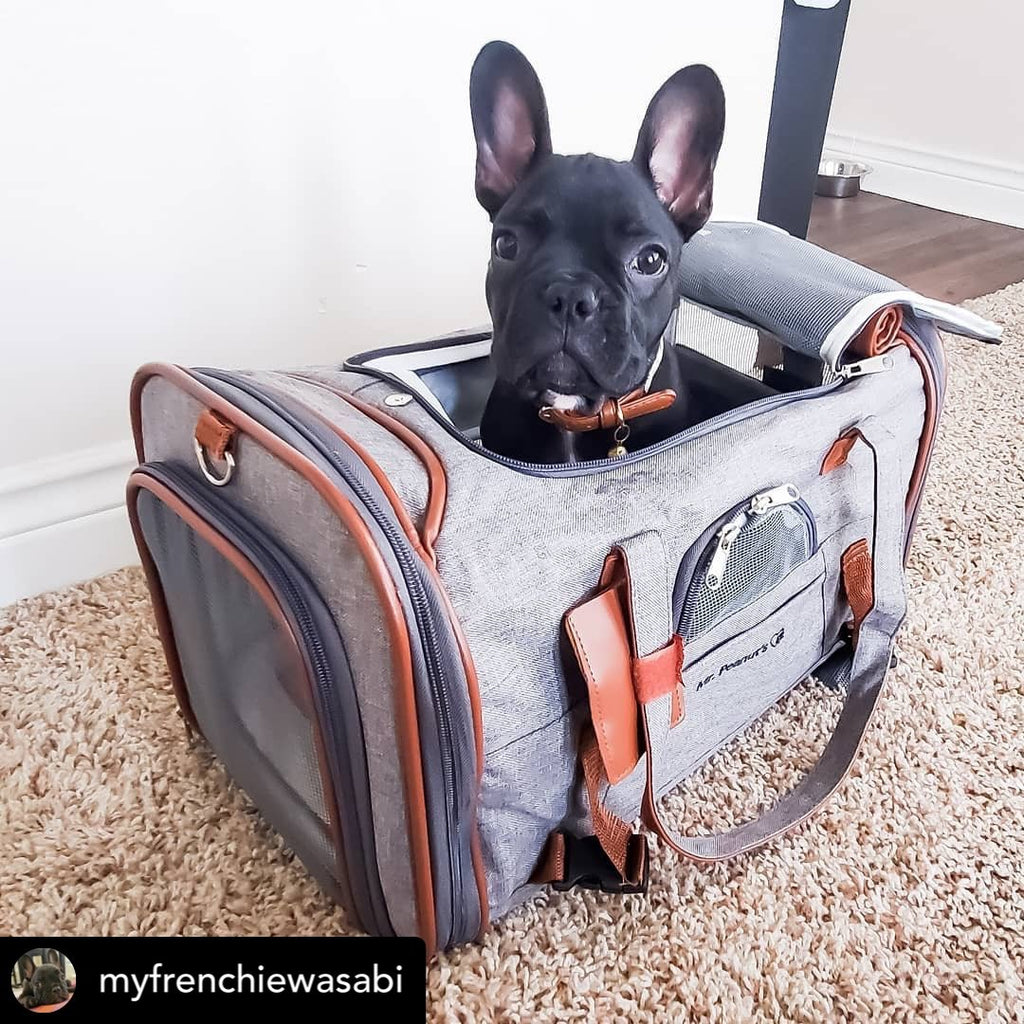 Mr. Peanut's Gold Series Standard Pet Carrier
