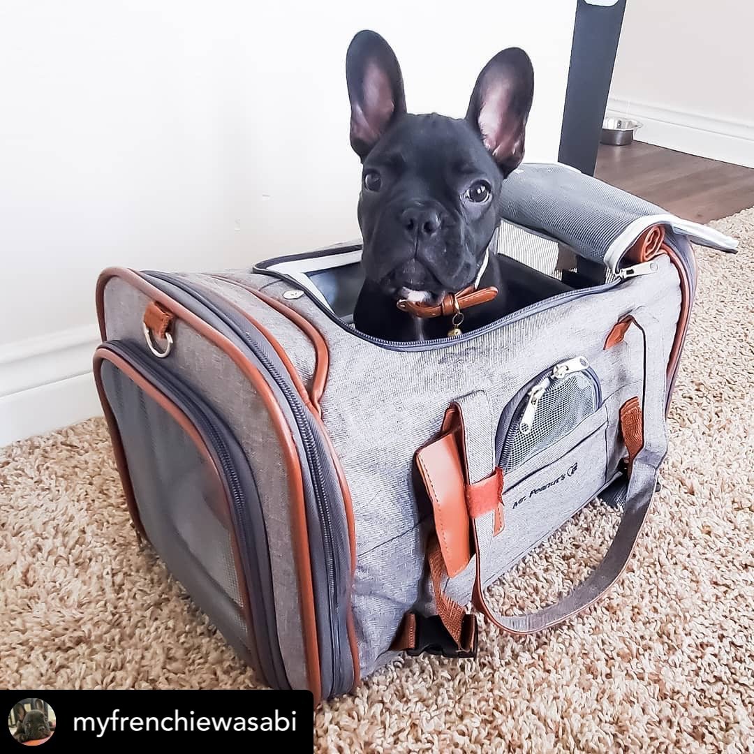 Mr. Peanut's Gold Series Standard Pet Carrier