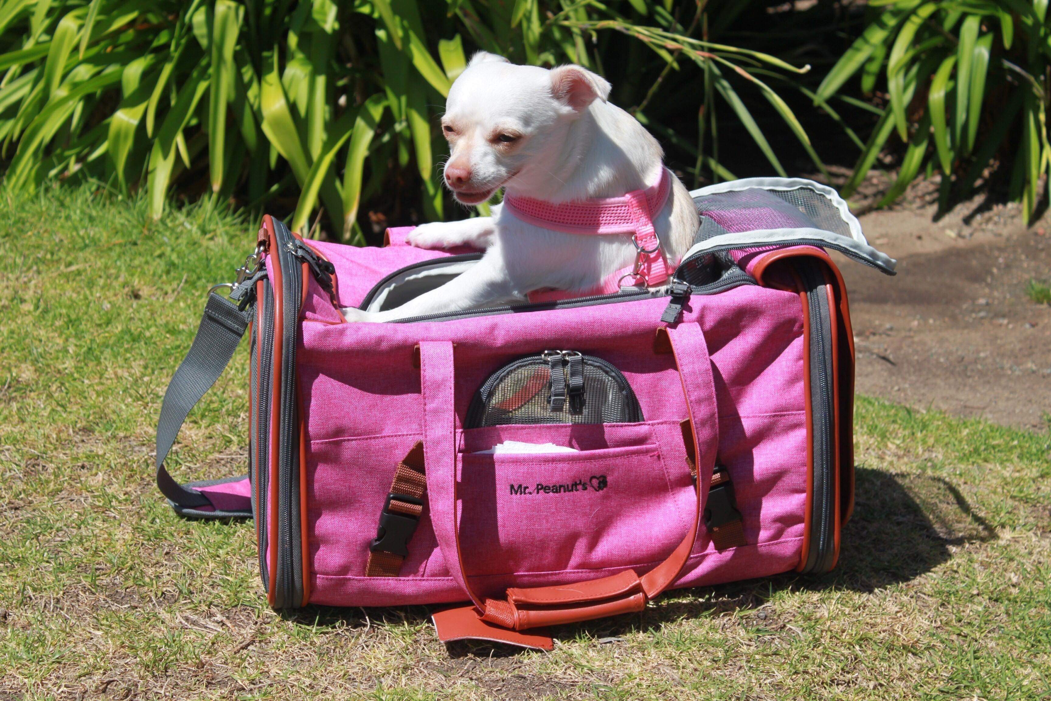 Mr. Peanut's Gold Series Standard Pet Carrier