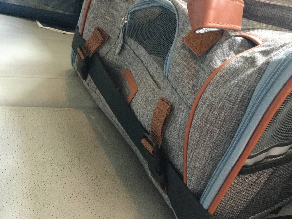 Mr. Peanut's Gold Series Standard Pet Carrier