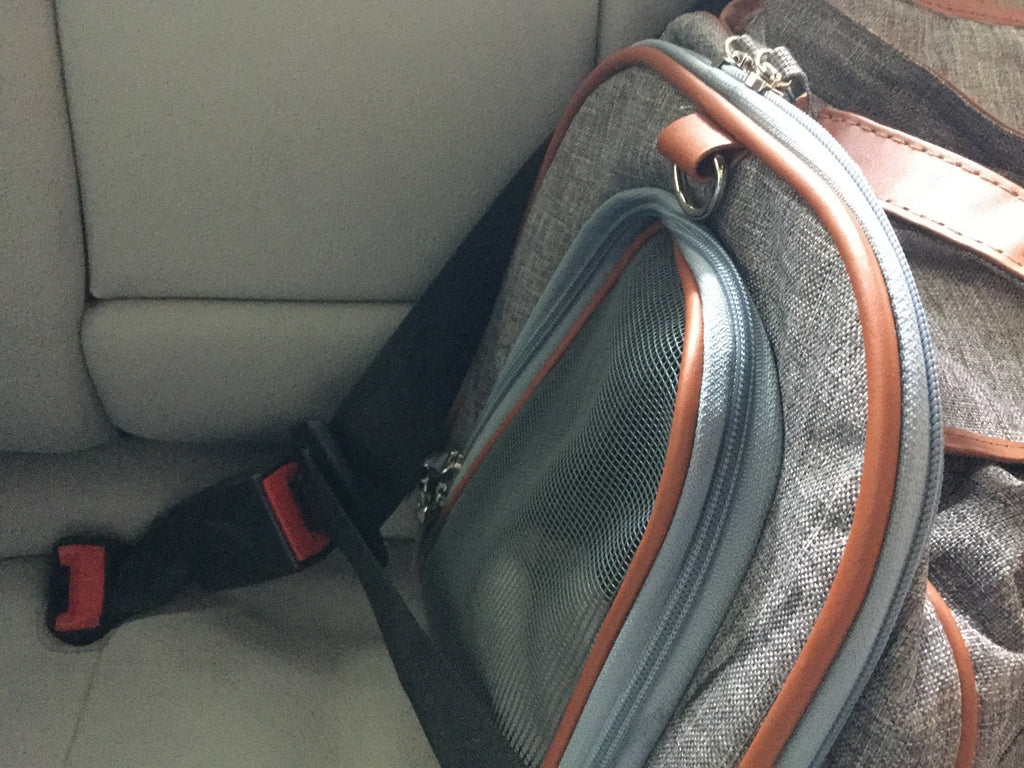 Mr. Peanut's Gold Series Standard Pet Carrier
