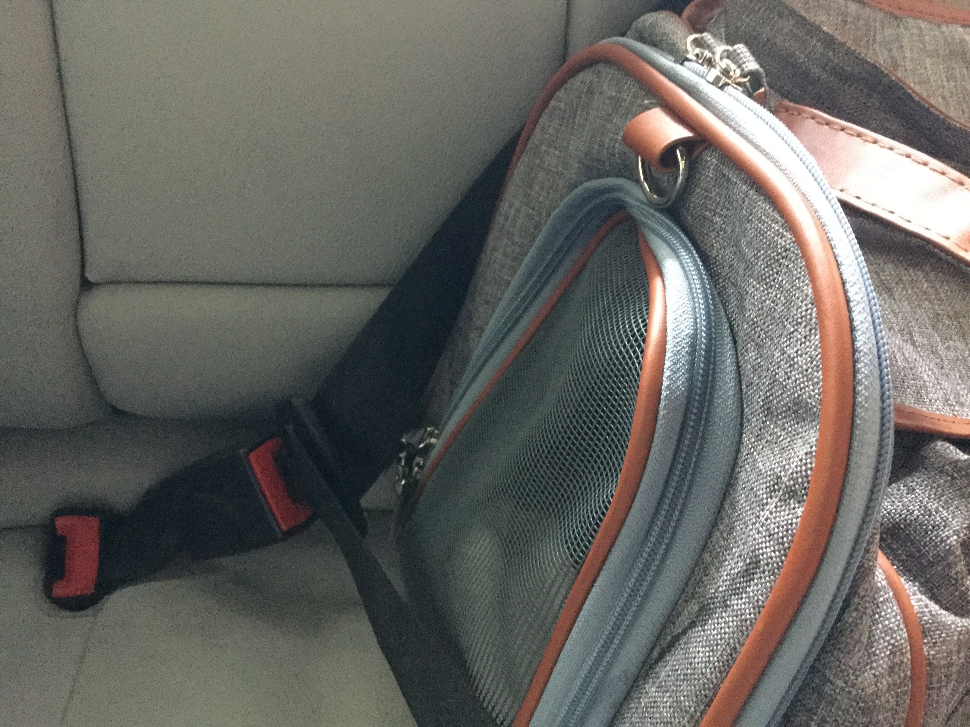 Mr. Peanut's Gold Series Standard Pet Carrier