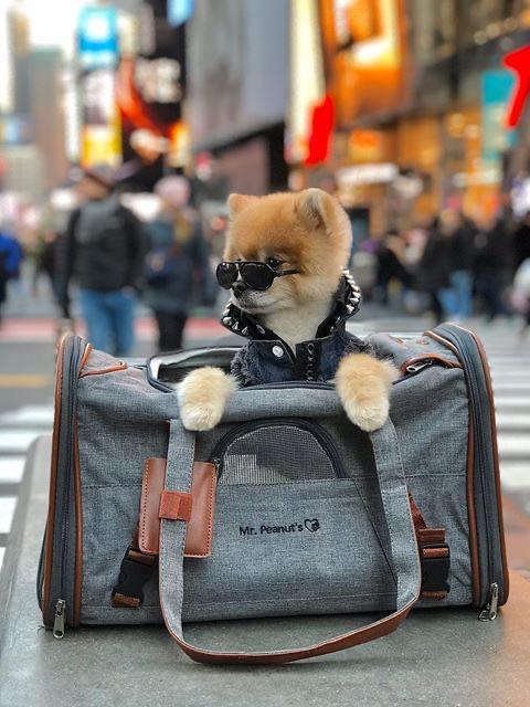 Mr. Peanut's Gold Series Standard Pet Carrier