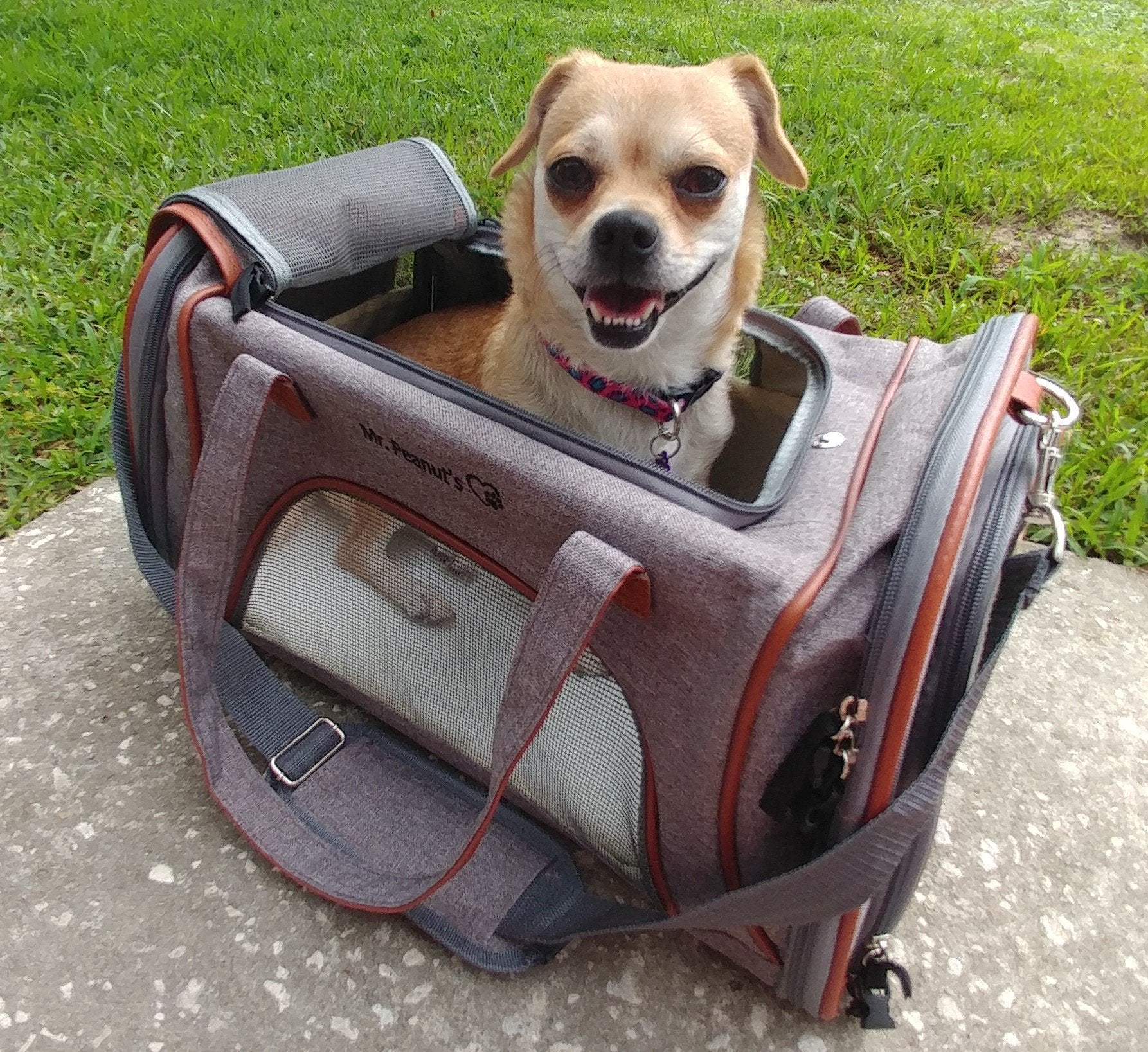 Mr. Peanut's Gold Series Standard Pet Carrier