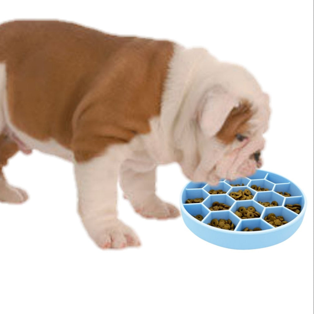 Mr. Peanut's Silicone Slow Feeder Bowl