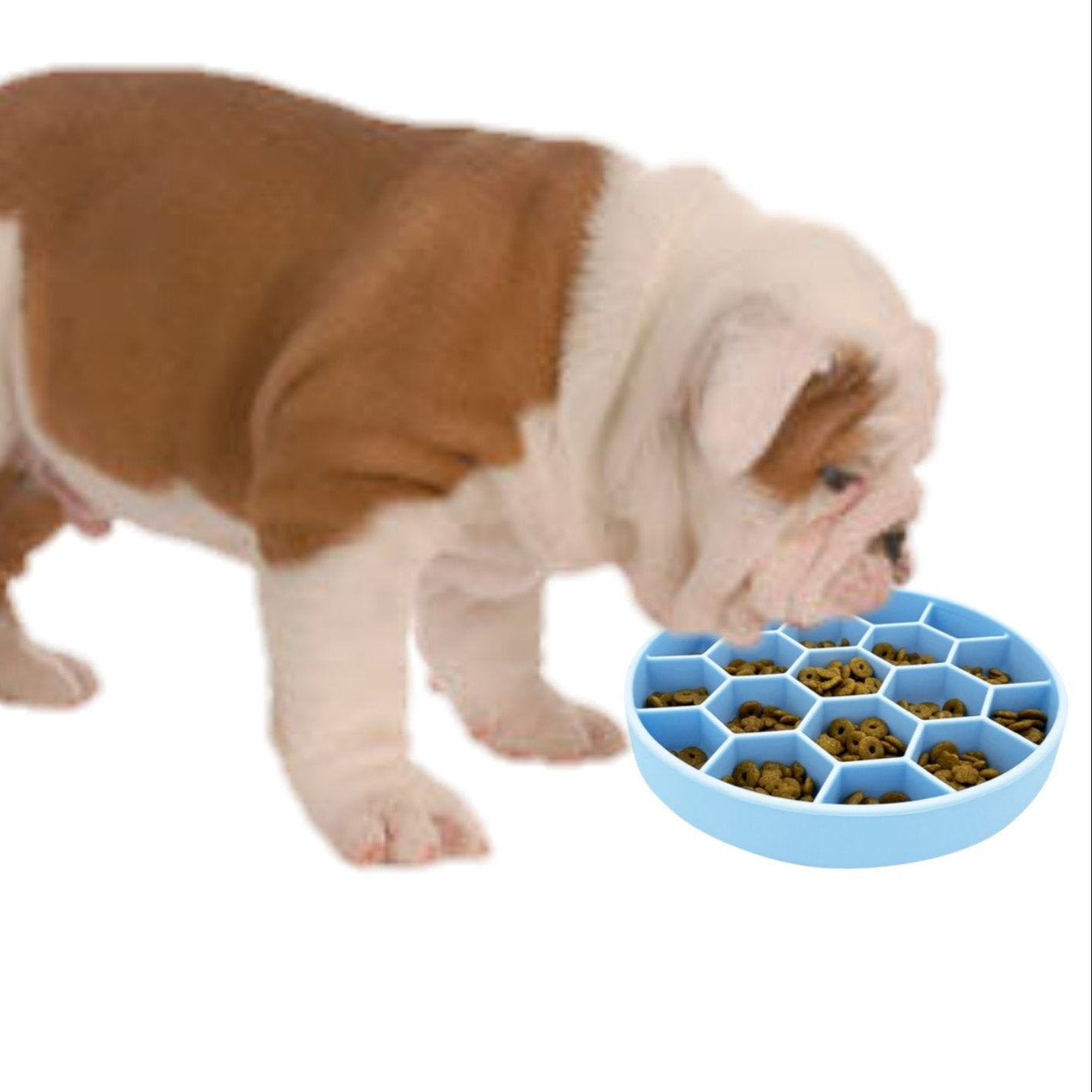 Mr. Peanut's Silicone Slow Feeder Bowl
